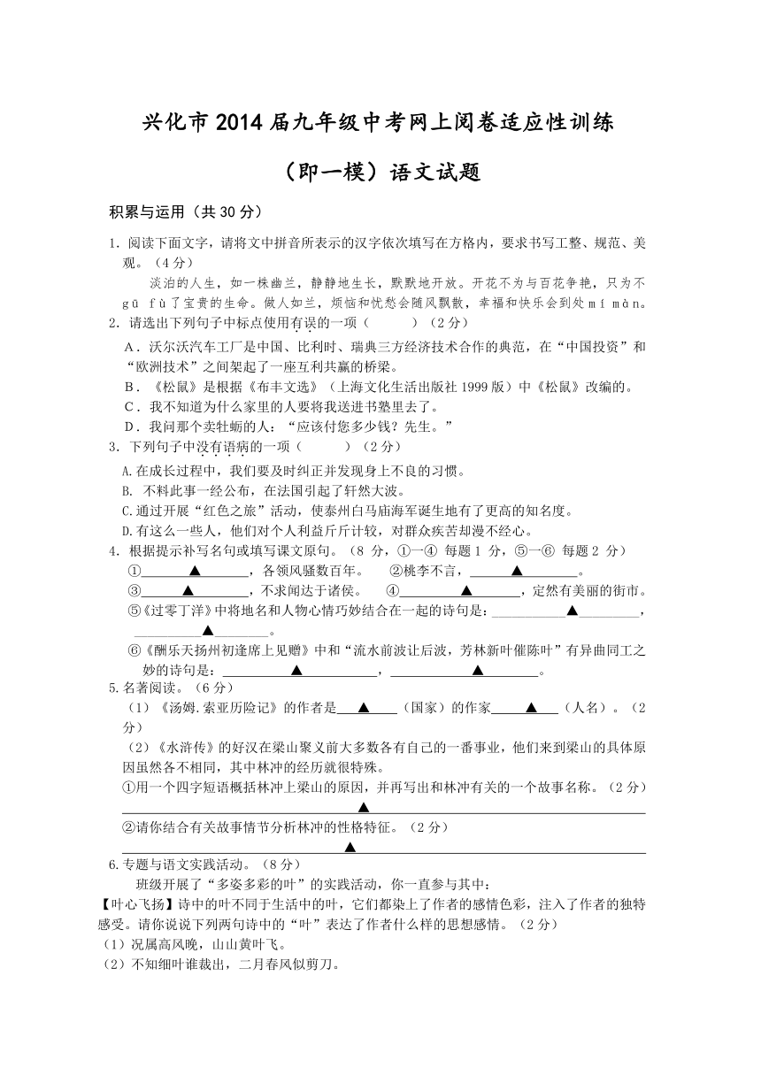 江苏省兴化市2014届九年级中考网上阅卷适应性训练（即一模）语文试题