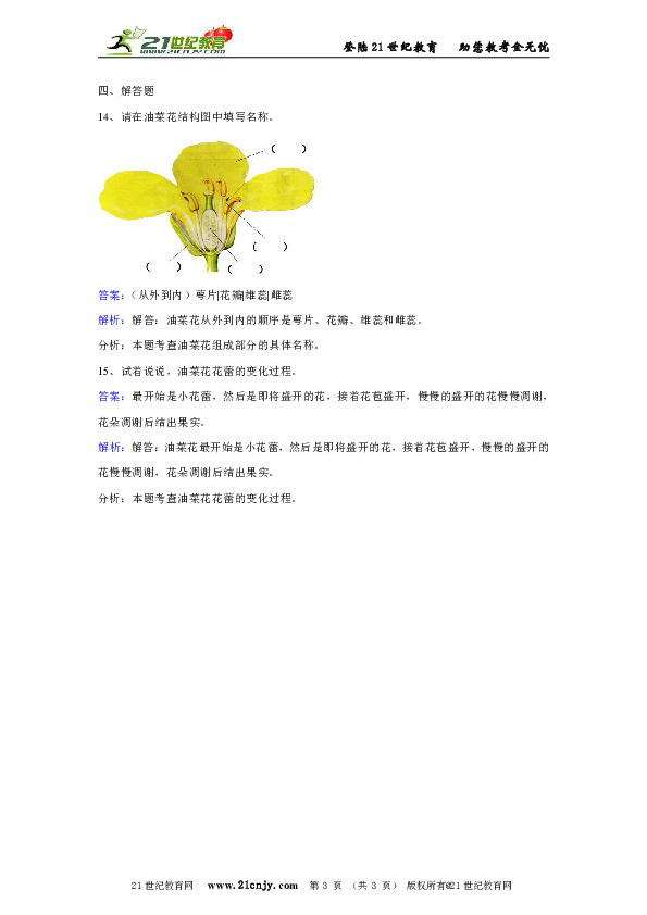 教科版科学四年级下册第二单元第一节油菜花开了同步练习