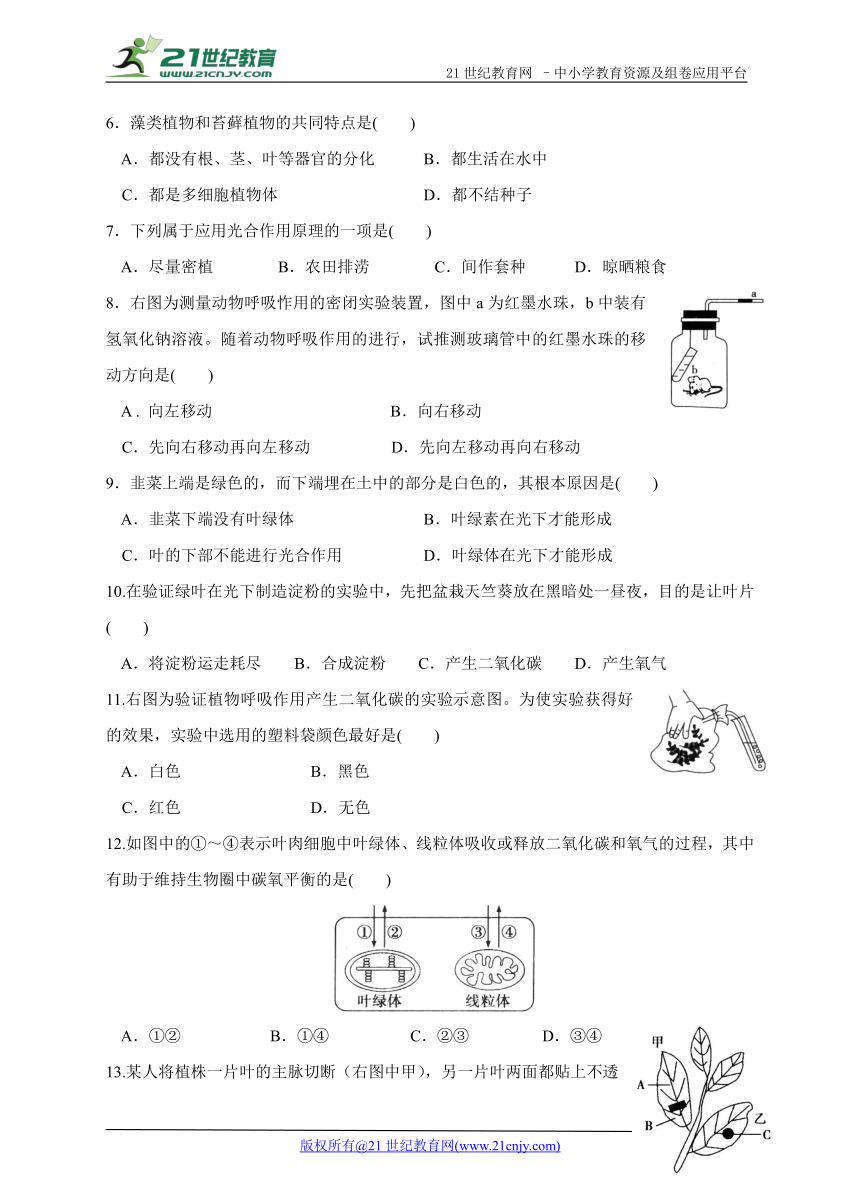 第二单元  第一章生物圈中的绿色植物 综合能力检测卷（含答案）