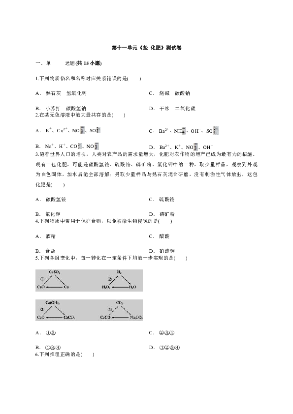 人教版化学九年级下册第十一单元 盐  化肥单元复习与测试  （含解析）