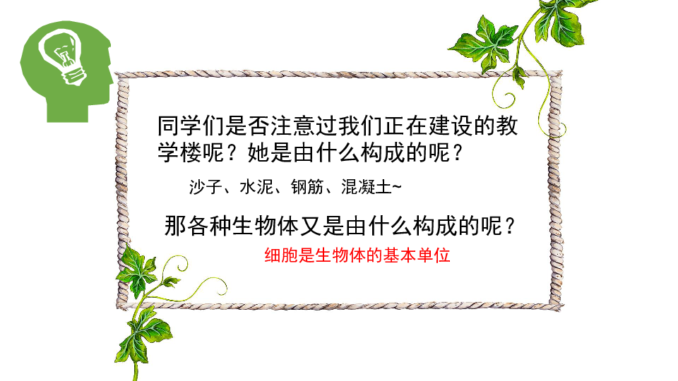 第一节细胞的结构和功能课件（14张ppt）