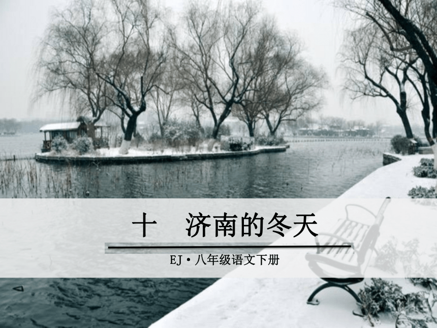 鄂教版语文八年级下册（2017） 10 济南的冬天 课件