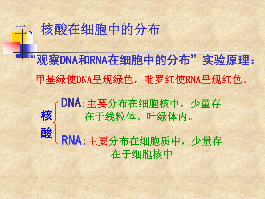 人教版必修1第二章第3节遗传信息的携带者——核酸（共22张PPT）