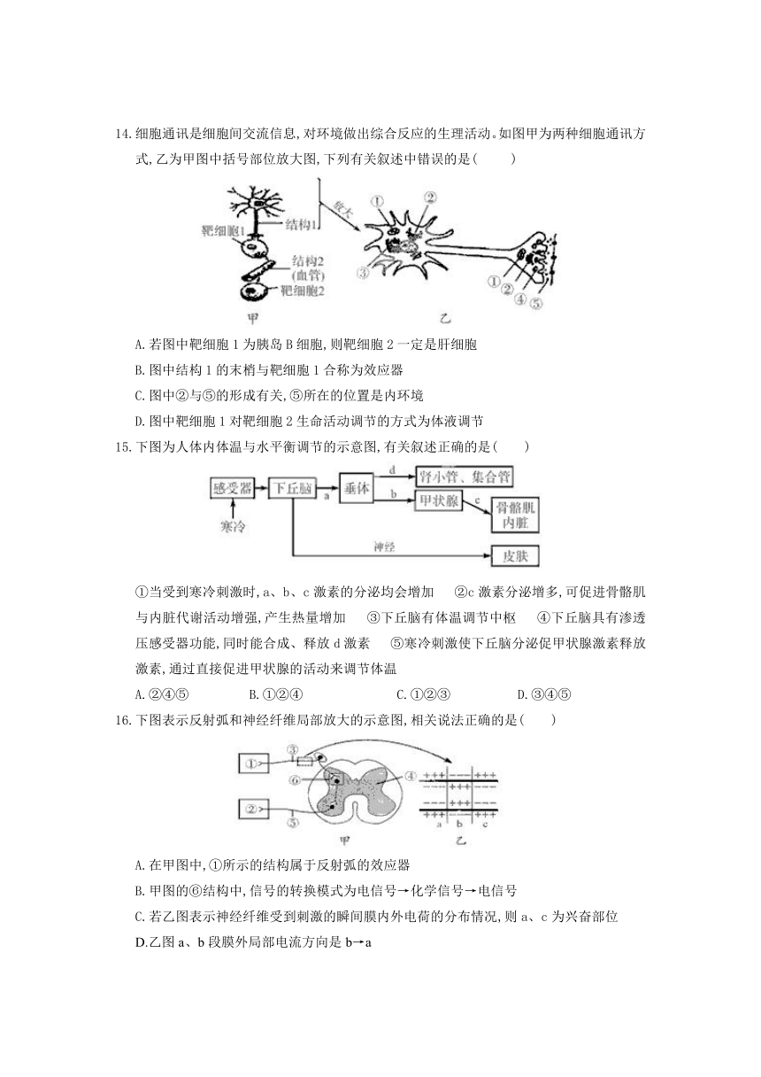 广东省陆丰市碣石中学2012-2013学年高二上学期期末考试生物试题