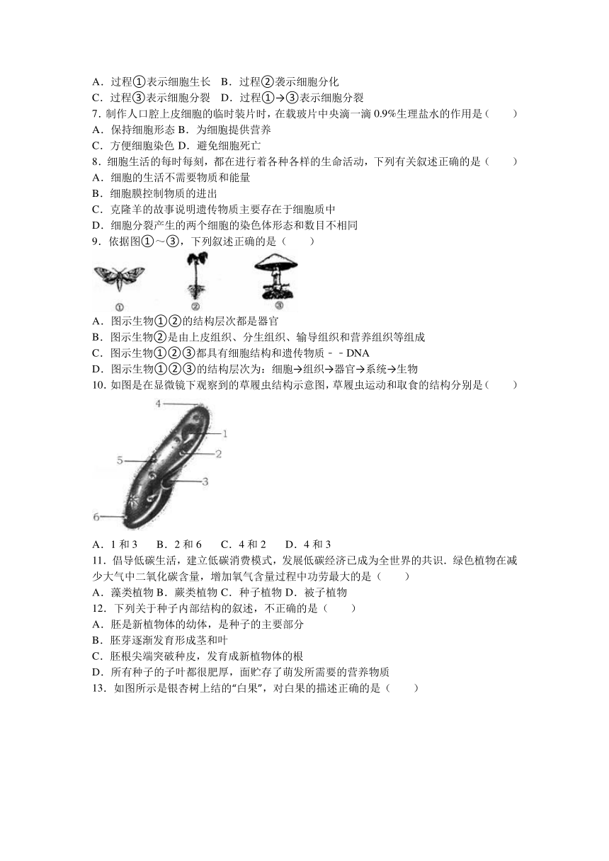 山东省临沂市平邑县街道一中2015-2016学年七年级（上）期末生物试卷（解析版）