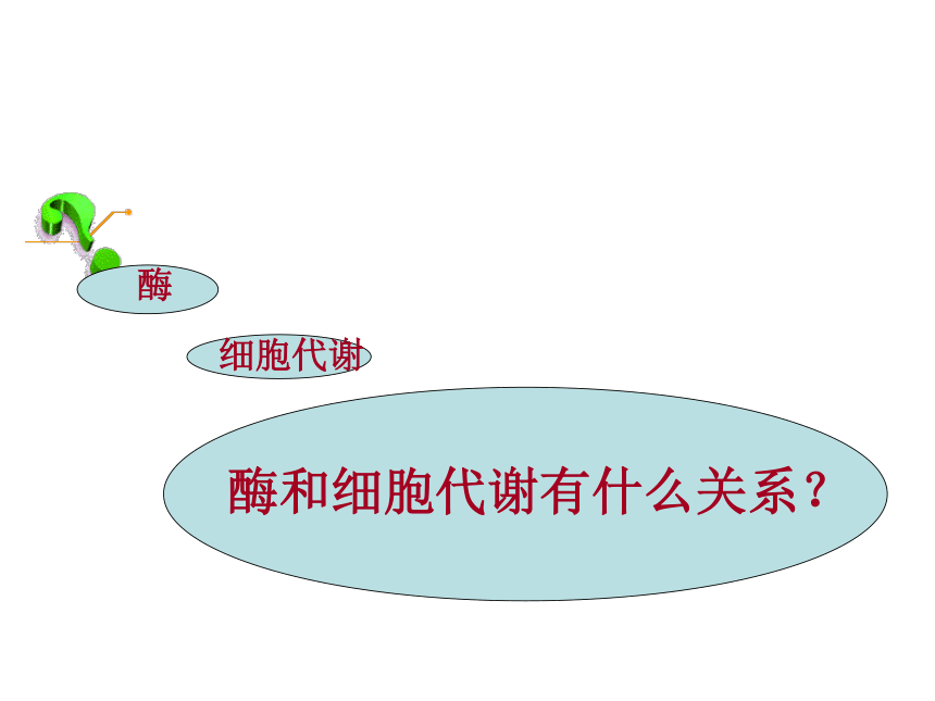 人教版高中生物必修一第五章第一节降低化学反应活化能的酶（26张）