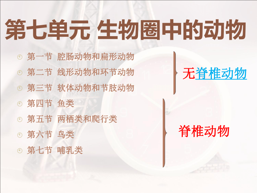 第一节_腔肠动物和扁形动物课件（共38张PPT）