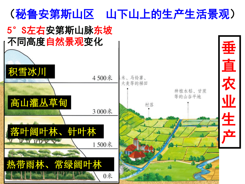 七上历史与社会期末复习——第三单元 课件