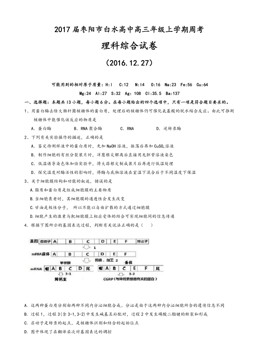 湖北省枣阳市白水高级中学2017届高三上学期周考（12.26）理科综合试题 Word版含答案