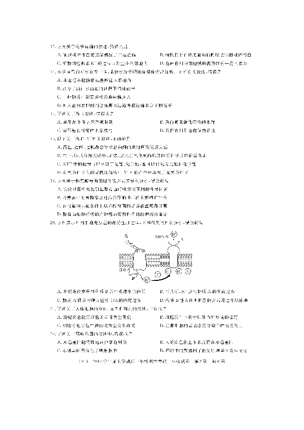 2018-2019学年湖北省黄石市高一上学期期末考试生物试题 扫描版