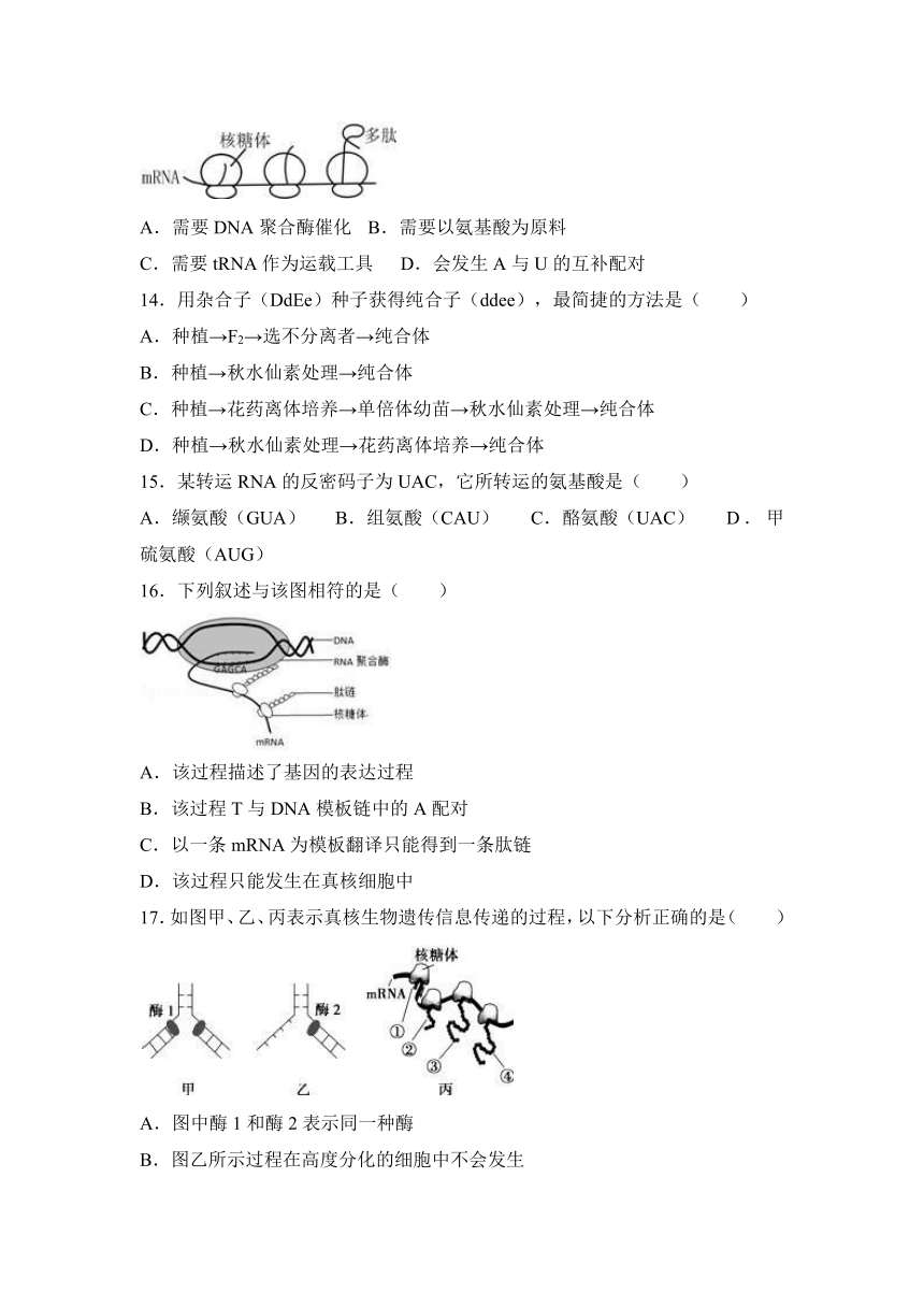 浙江省绍兴市诸暨市牌头中学2016-2017学年高二（上）期中生物试卷（解析版）