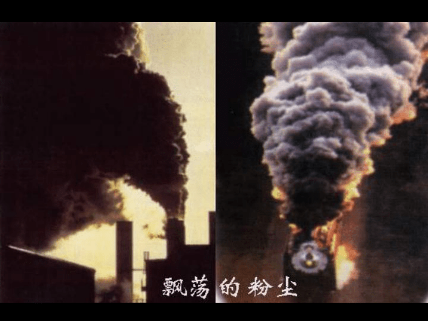 4.1 环境污染问题 课件（29张PPT）