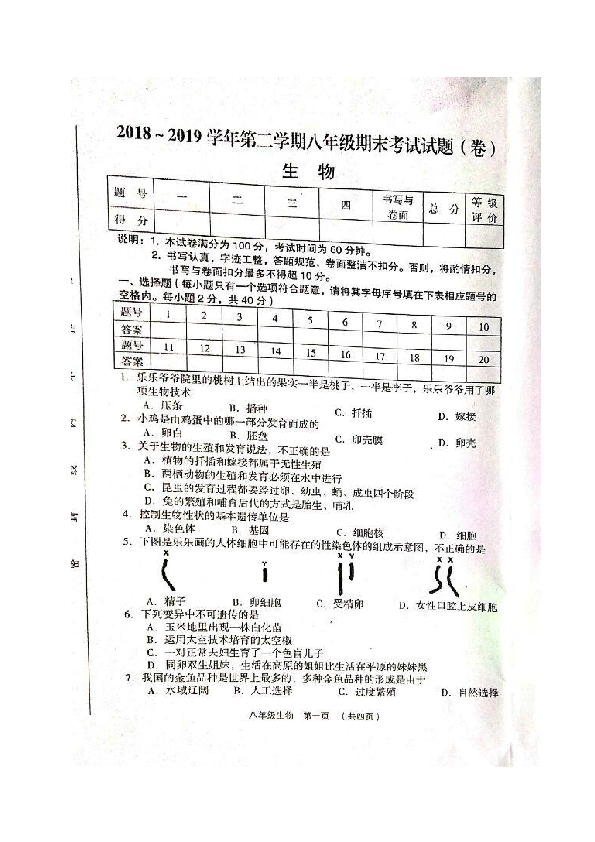 山西省孝义市2018-2019学年八年级下学期期末考试生物试题（图片版含答案）