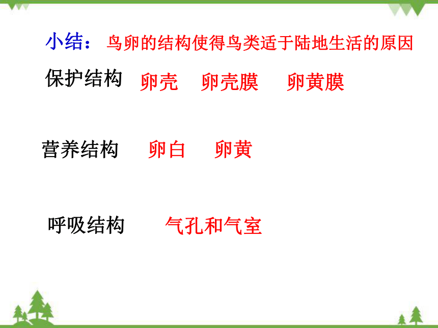 人教版生物八年级下册第七单元第一章第四节鸟的生殖和发育课件共38张