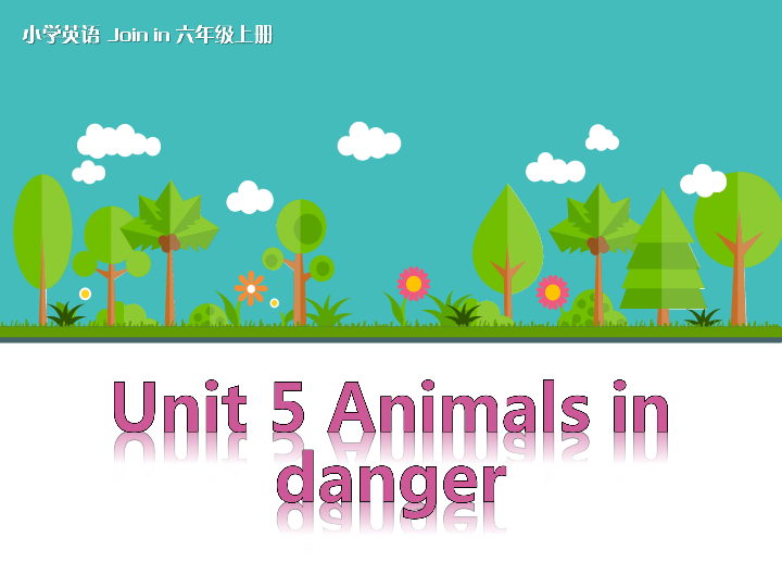 Unit 5 Animals in danger 课件（28张PPT）