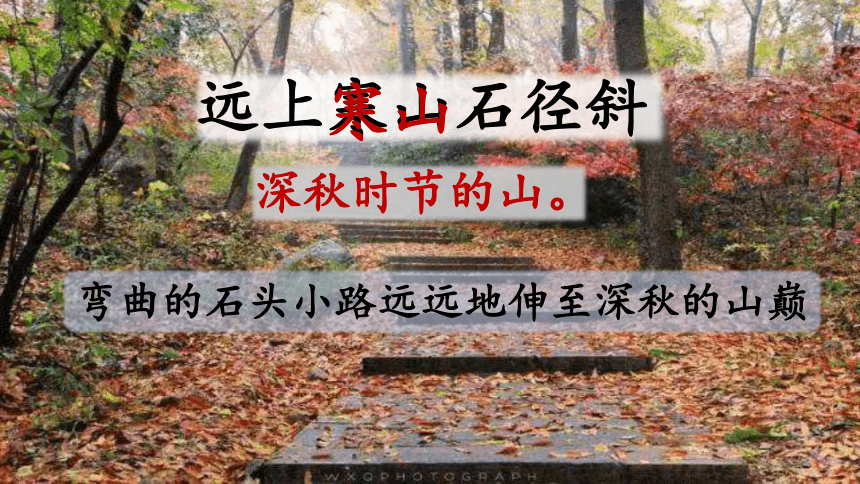 夜書所見的中書是什么意思_《夜書所見》中“書”的意思_夜書所見中書是什么意思