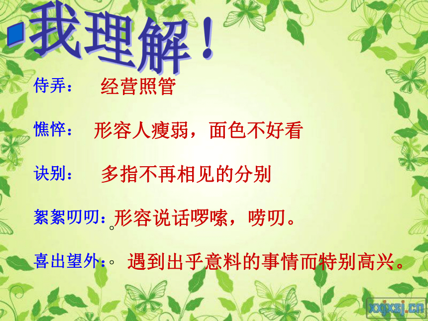 《秋天的怀念》优质课件 (共41张PPT)