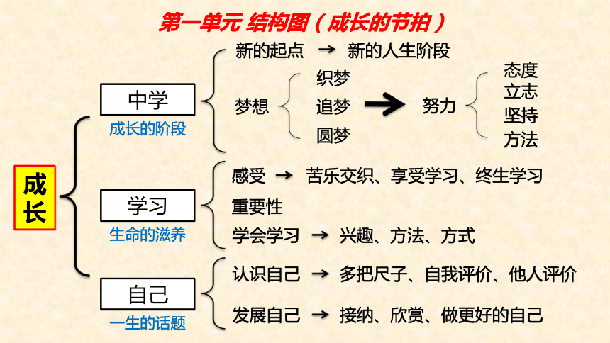 第一单元 成长的节拍 复习课件(共48张PPT)