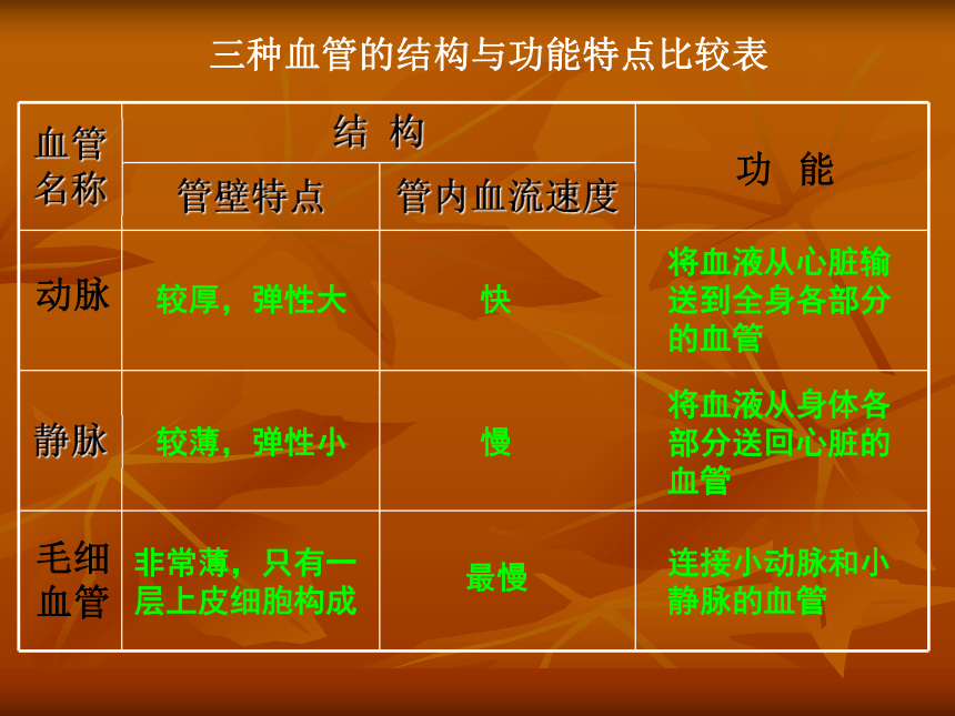 第二节 人体的血液循环 课件 (1)