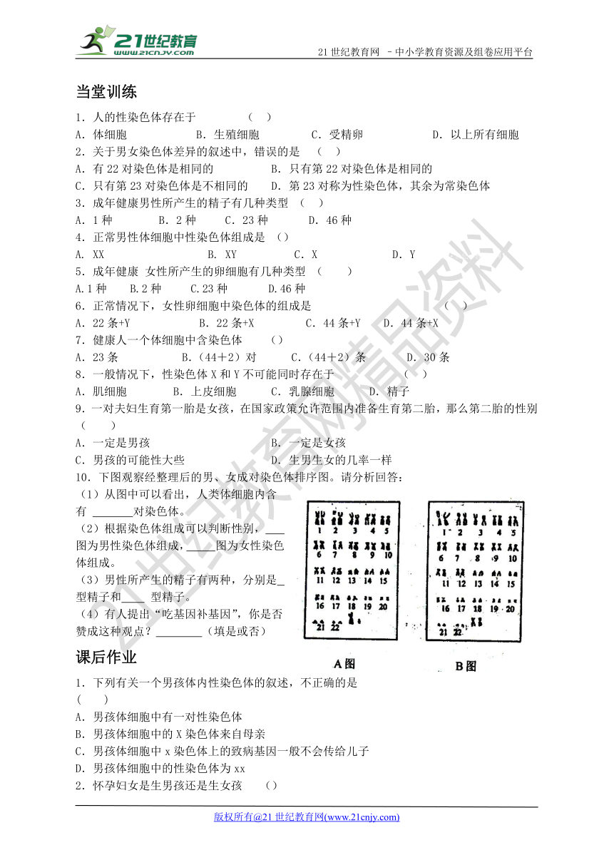 20.4 性别和性别决定 同步学案