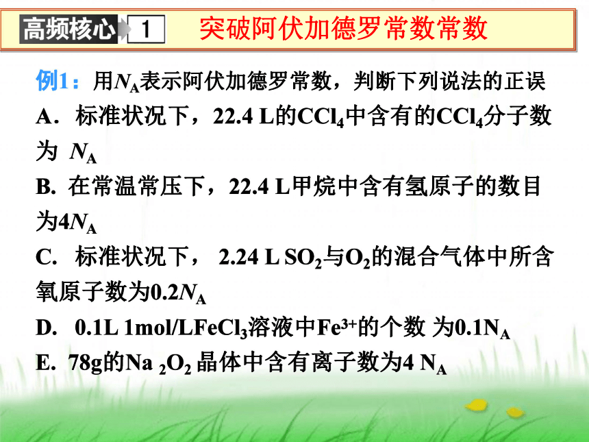 湖南省石门一中2015届高三二轮专题复习 物质的量