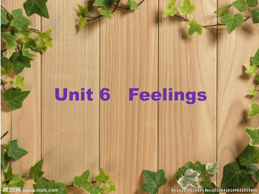 Unit 6 Feelings PC 课件