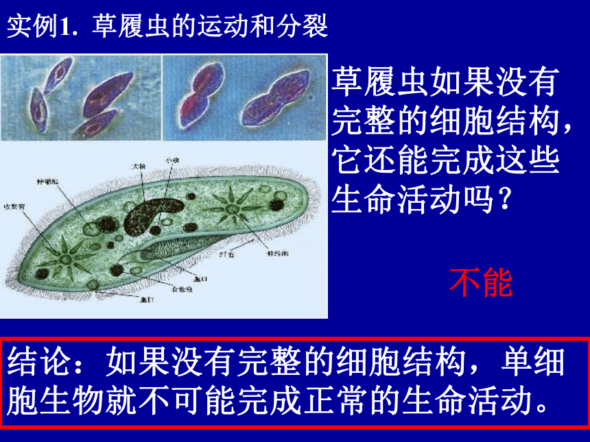 人教版必修1第一章第一节从生物圈到细胞（共29张PPT）