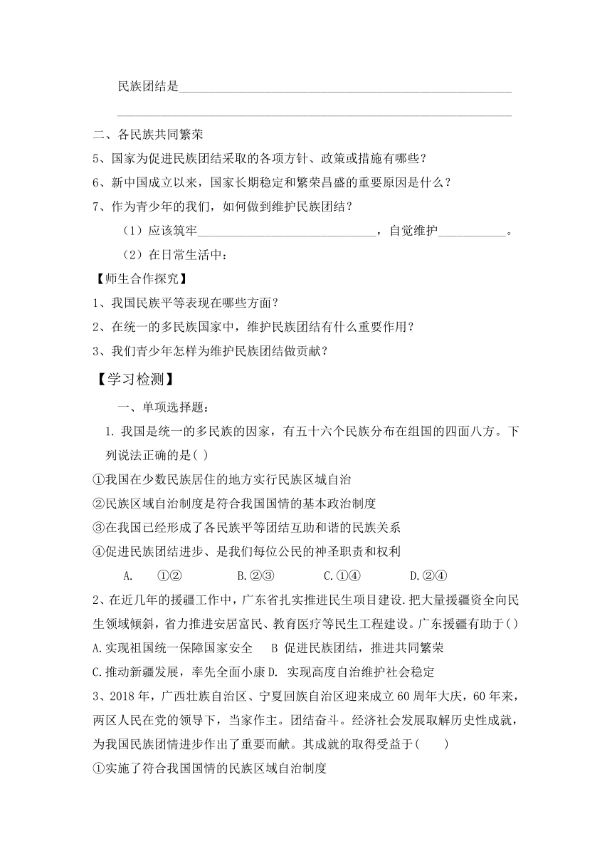 鲁人版道德与法治九年级上册1.1同在中华大地 学案