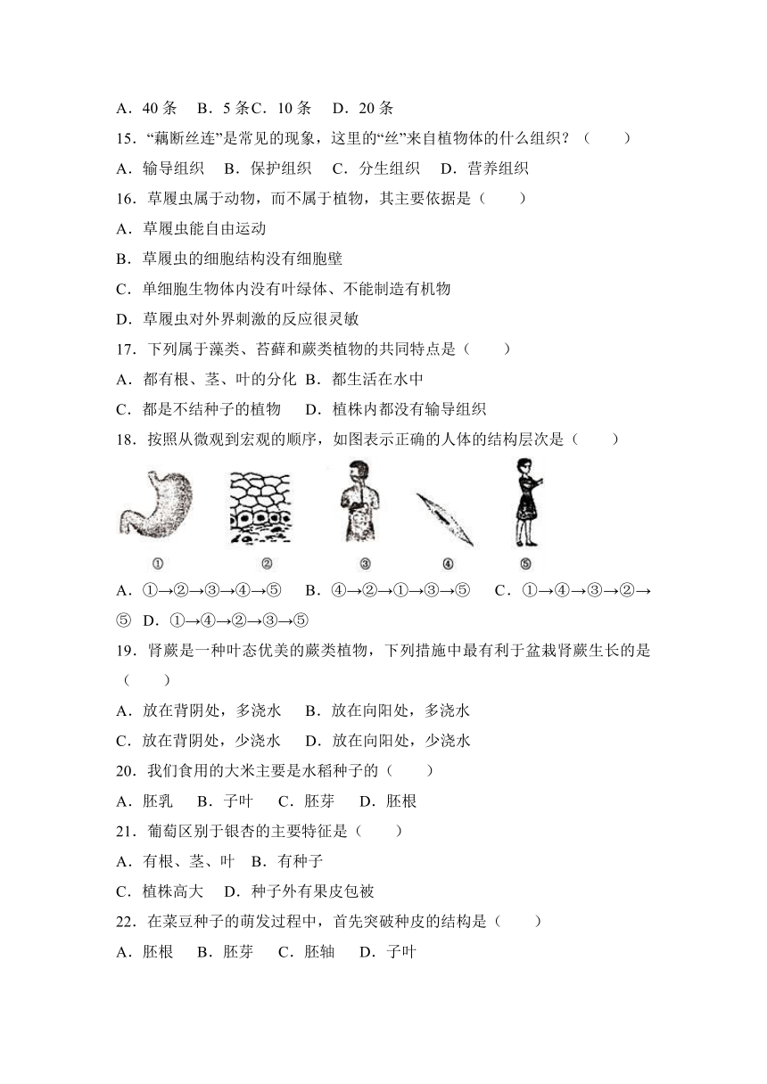 新疆维吾尔自治区、生产建设兵团2016-2017学年七年级（上）期末生物试卷（解析版）