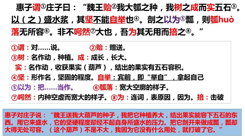 20212022学年高中语文统编版选择性必修上册62五石之瓠课件25张ppt