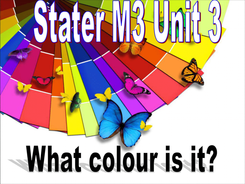 Starter Module 3 My English book nit 3 What colour is it?教学课件（26张）