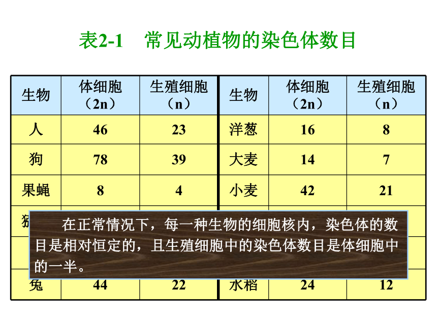 减数分裂中的染色体行为