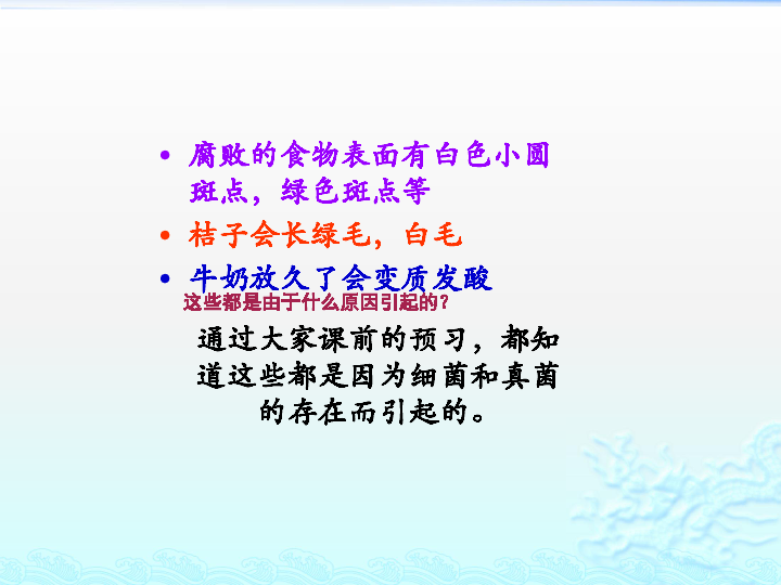 细菌和真菌的分布课件(共31张PPT)