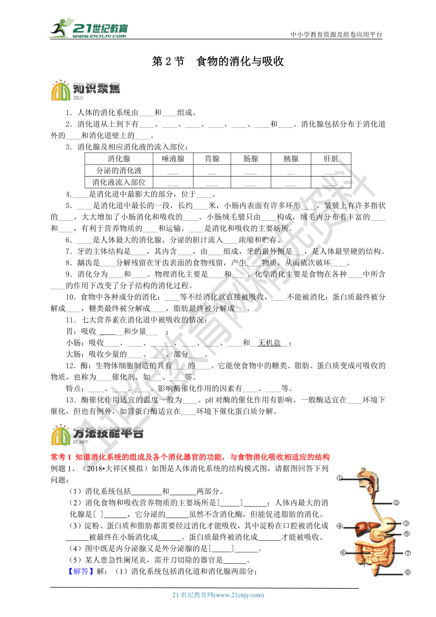 浙教版科学九上 4.2 食物的消化与吸收 创优同步学案