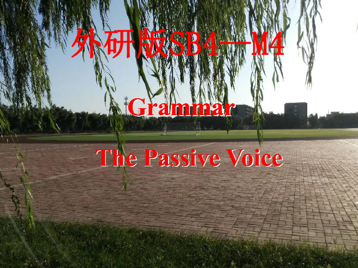 Module 4 Great Scientists Grammar-----The Passive Voice 课件（38张PPT）