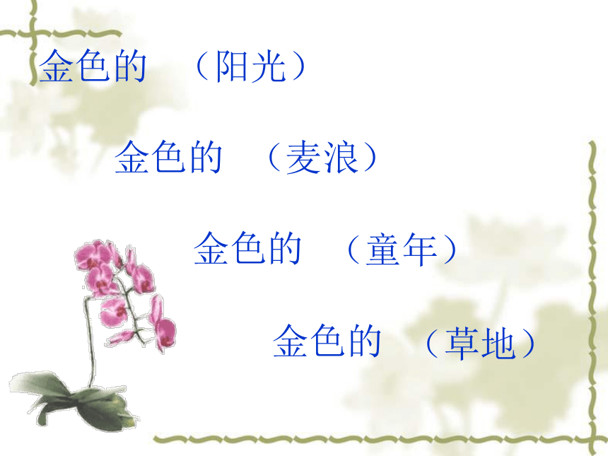 《金色的草地》课件