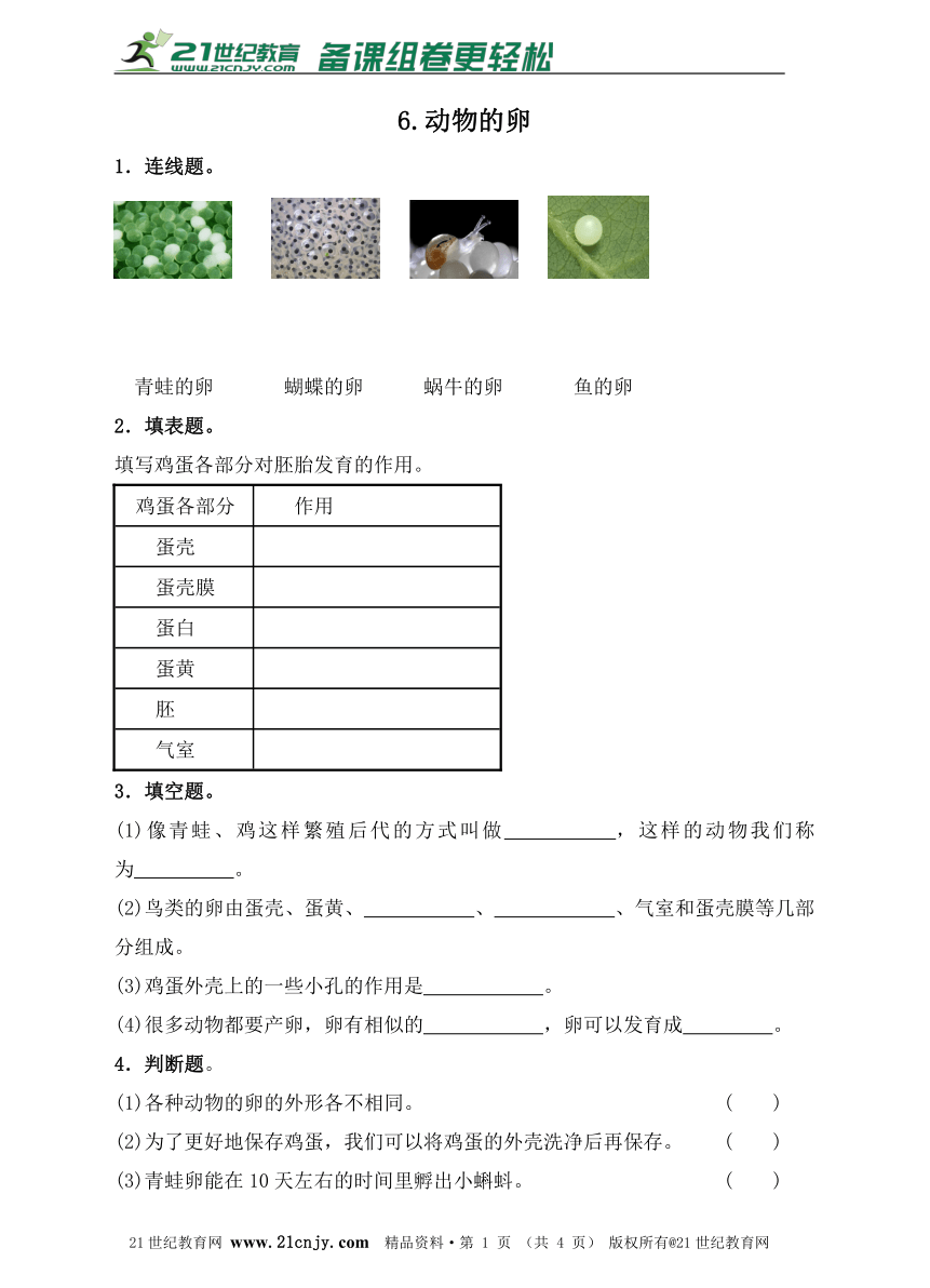 教科版科学四下  第二单元  6.动物的卵同步练习（含答案）