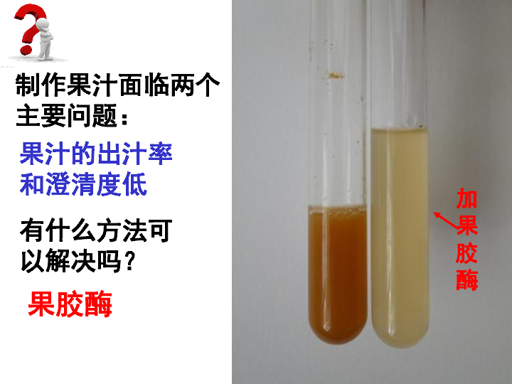 高中生物人教版选修一专题四课题1果胶酶在果汁生产中的作用（22张PPT）