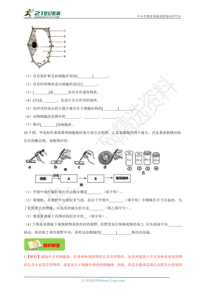 双减作业本人教版七上212植物细胞夯实基础提升培优选做选练含解析