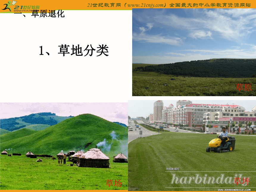 广东普宁二中2011地理高考一轮复习课件：草原退化及其防治专题（选修6）