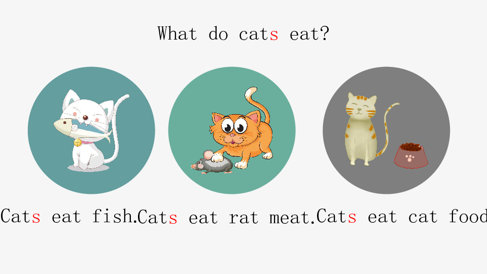 Lesson 11 What Do They Eat?课件（16张PPT）