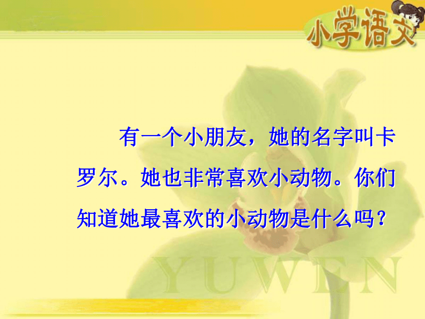 《卡罗尔和她的小猫》课件