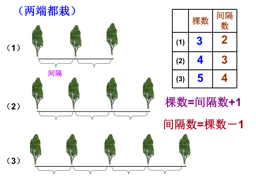 数学五年级上人教版7广角植树问题课件（63张）