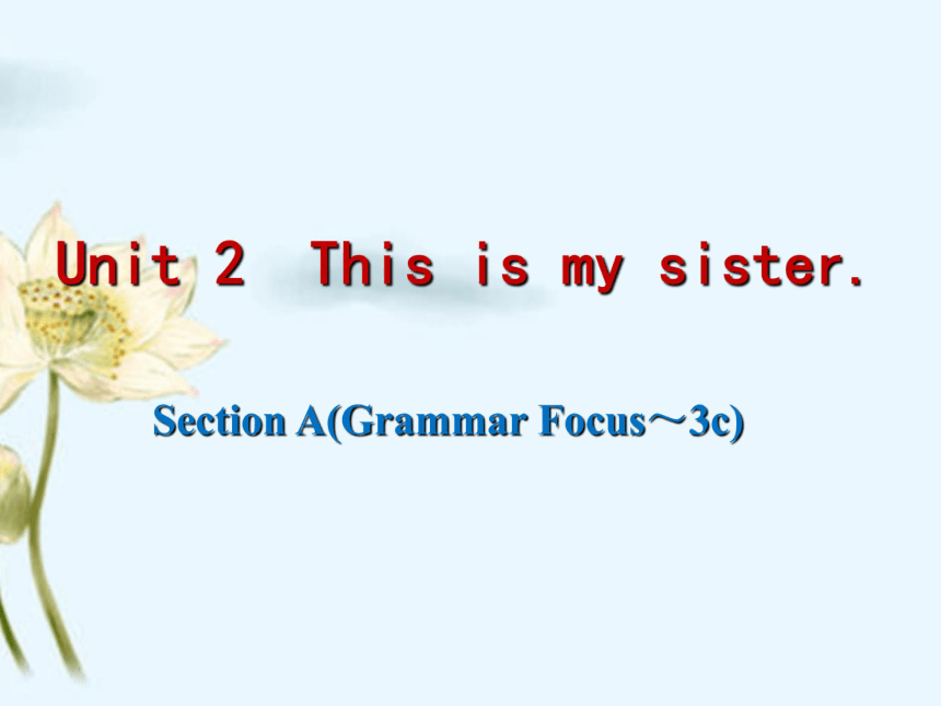Unit 2 This is my sister. SectionA Grammar focus 3a-3c课件(共25张PPT)