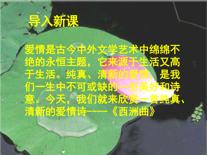 课件预览