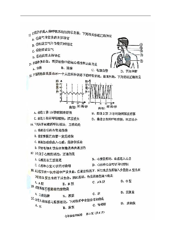 广东省中山市2018-2019学年第二学期七年级生物期末试题（扫描版含答案）