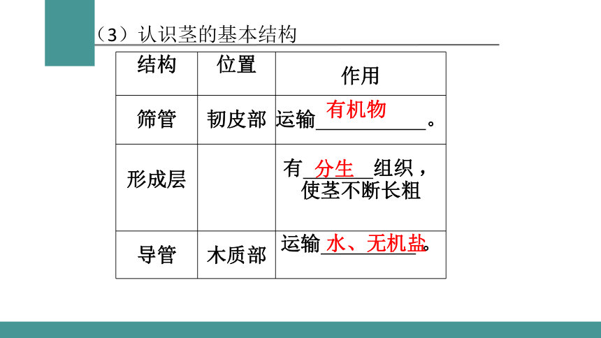 3.3绿色植物与生物圈的水循环  课件 (共32张PPT) 2021-2022学年人教版七年级生物上册