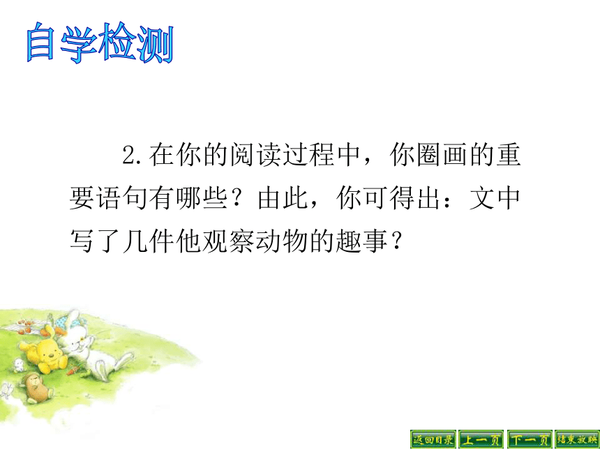 动物笑谈课件