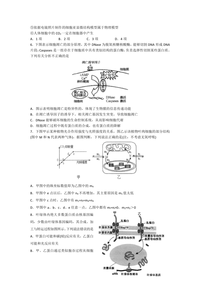 山东省寿光市圣都中学2021届高三上学期第二次阶段测试生物试卷