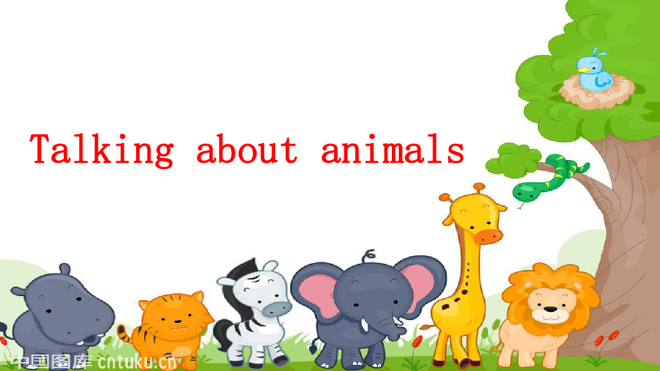 Unit6 Talking about the animals 课件19张